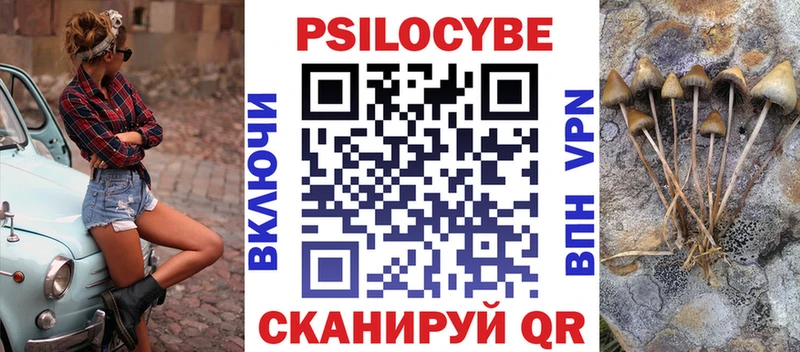МЕГА вход  Сельцо  Галлюциногенные грибы Psilocybine cubensis  что такое  
